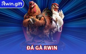 Đá Gà RWIN