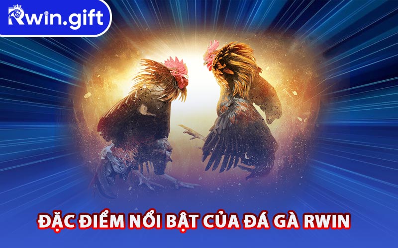 Đặc Điểm Nổi Bật Của Nền Tảng Đá Gà RWIN