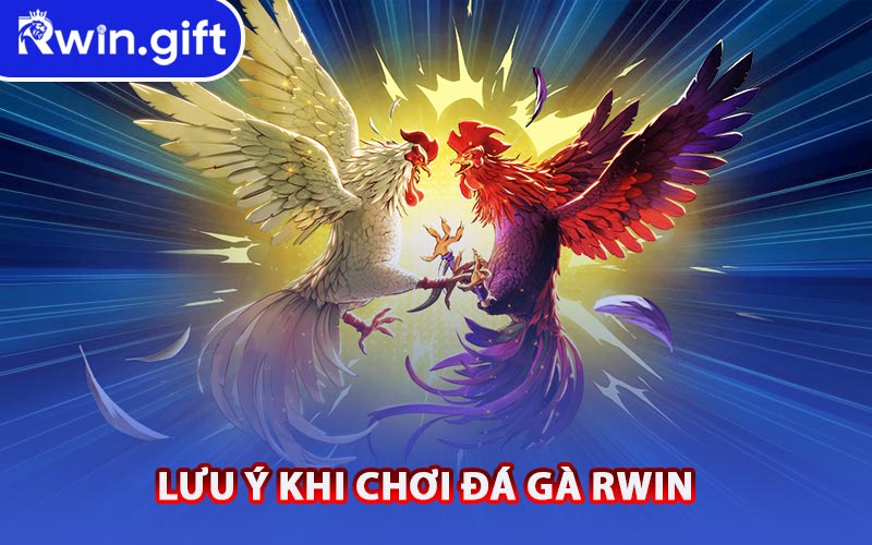 Lưu Ý Khi Chơi Đá Gà RWIN